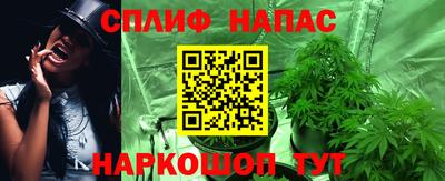 гидра Анжеро-Судженск