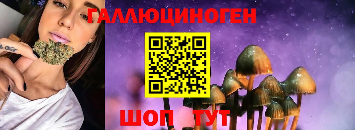 Псилоцибиновые грибы Cubensis Благодарный